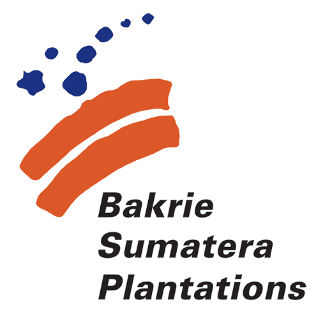 Logo BSP